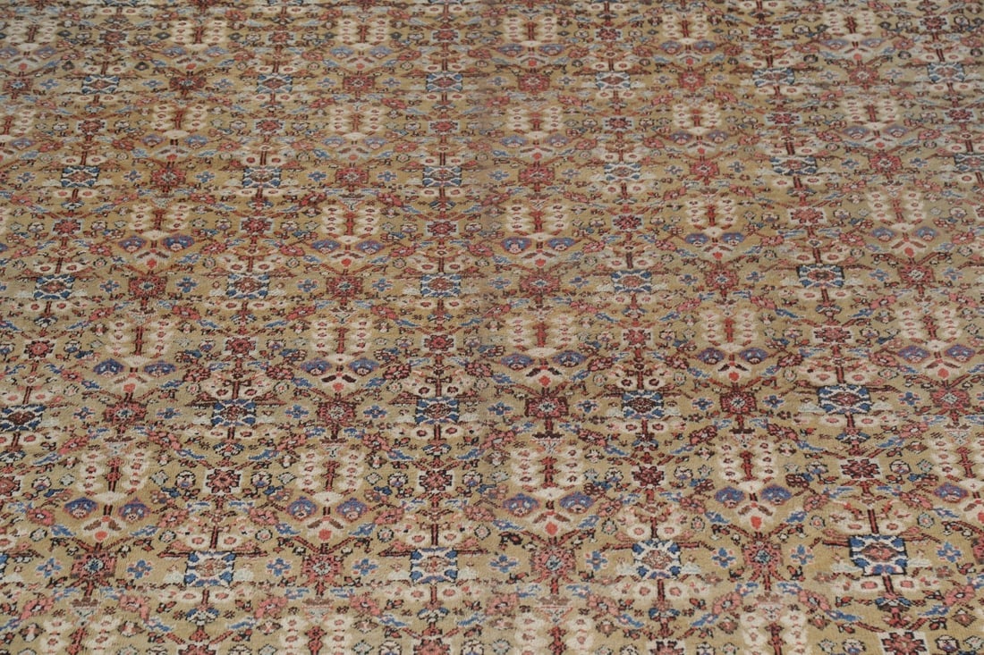 Antique Pre-1900 Sultanabad Persian Rug 13x22 Large - 4