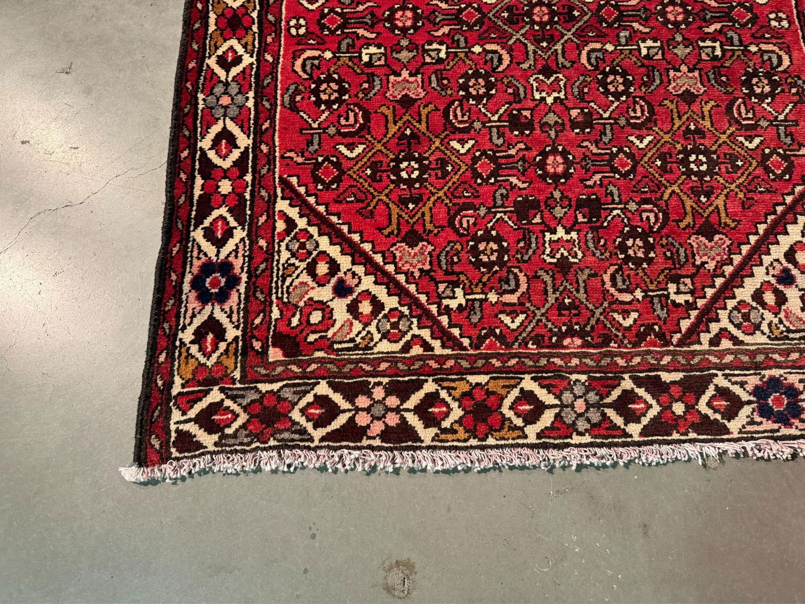 Stunning Persian Hamedan Rug 3.10x9.5 - 2