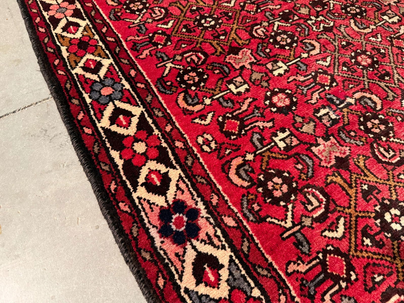 Stunning Persian Hamedan Rug 3.10x9.5 - 5