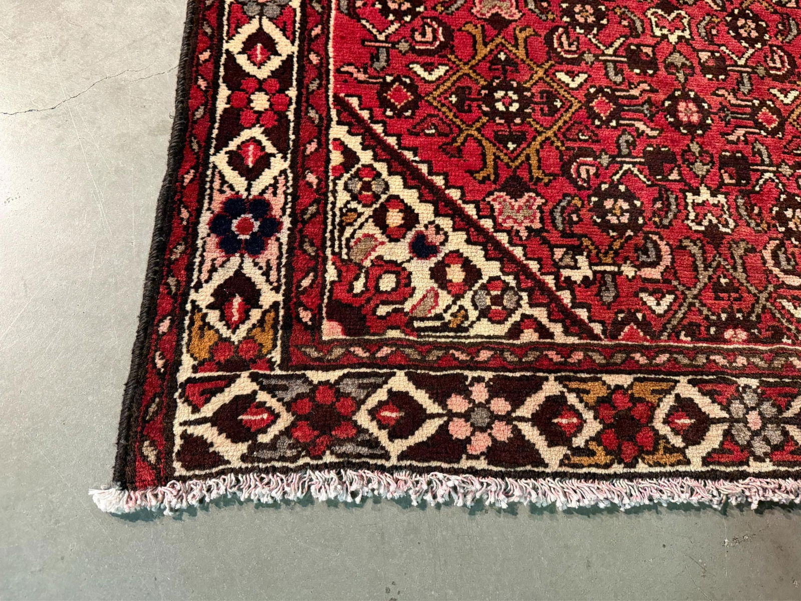 Stunning Persian Hamedan Rug 3.10x9.5 - 7
