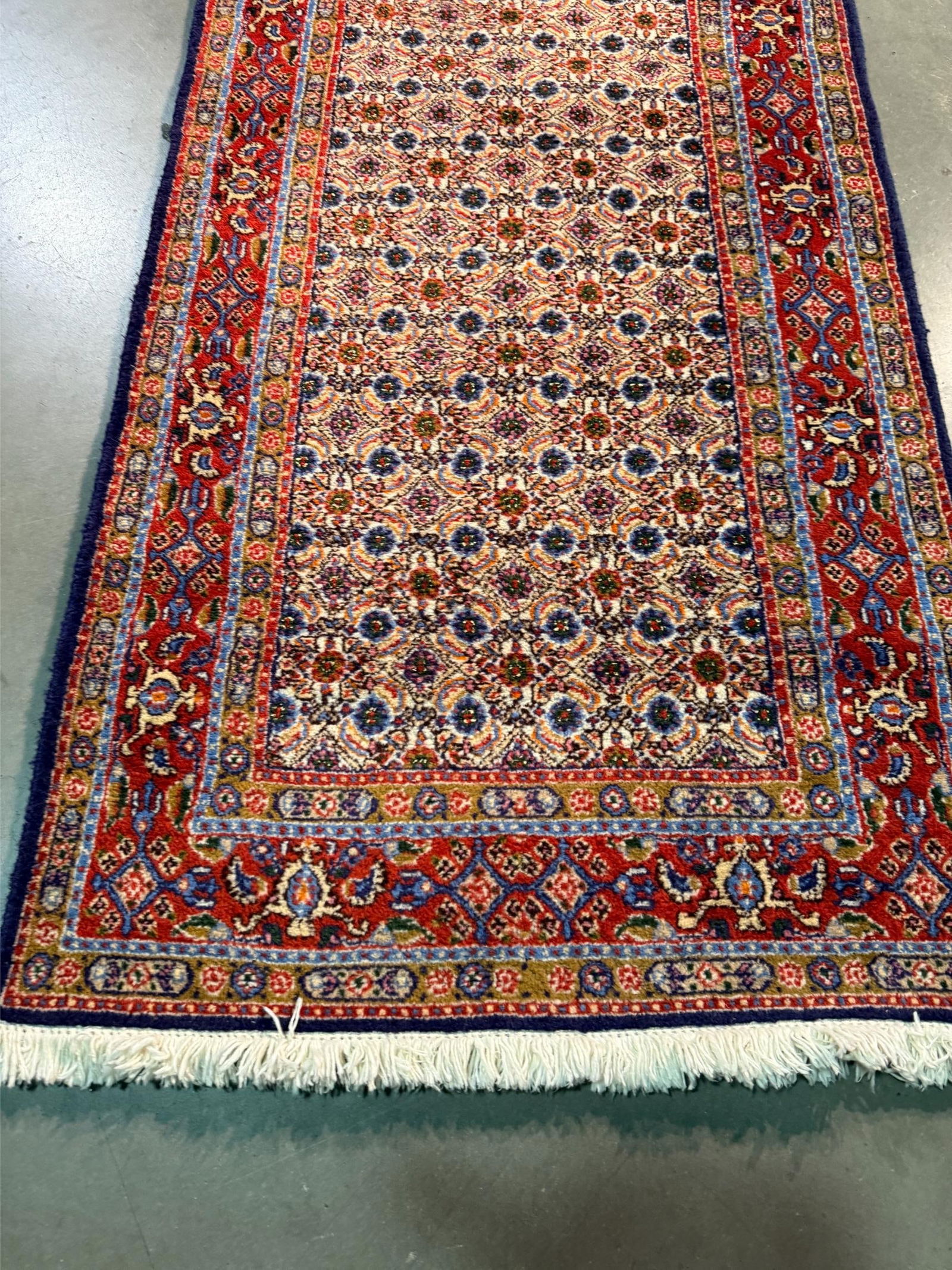Magnificent Persian Runner 2.8x9.8 - 3