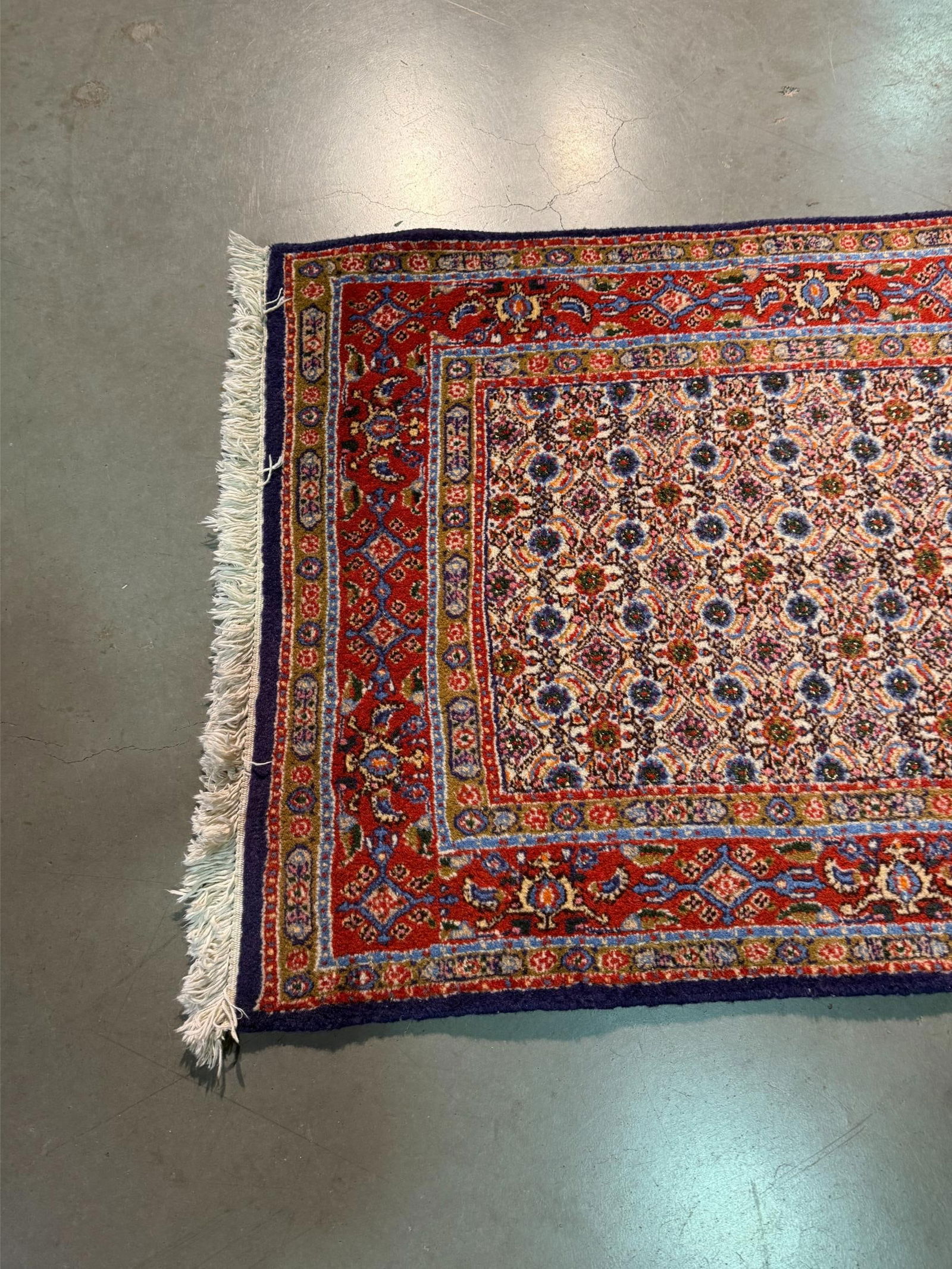 Magnificent Persian Runner 2.8x9.8 - 9