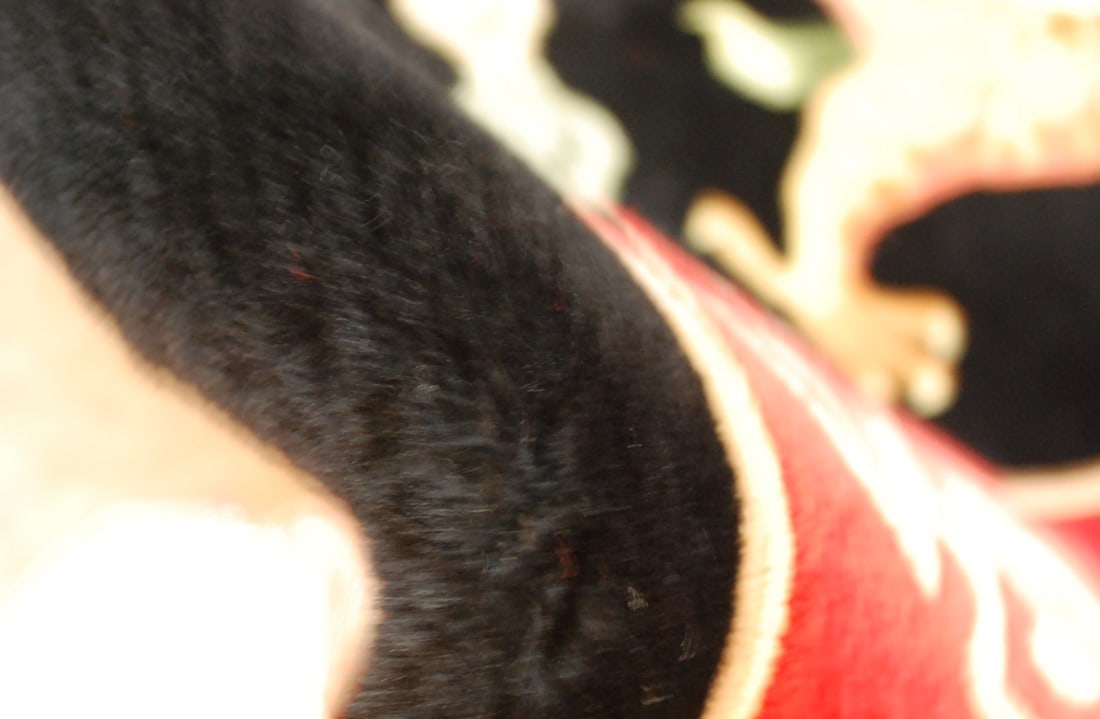 CHINESE NICHOLS RUG 9'x12'2" - 10