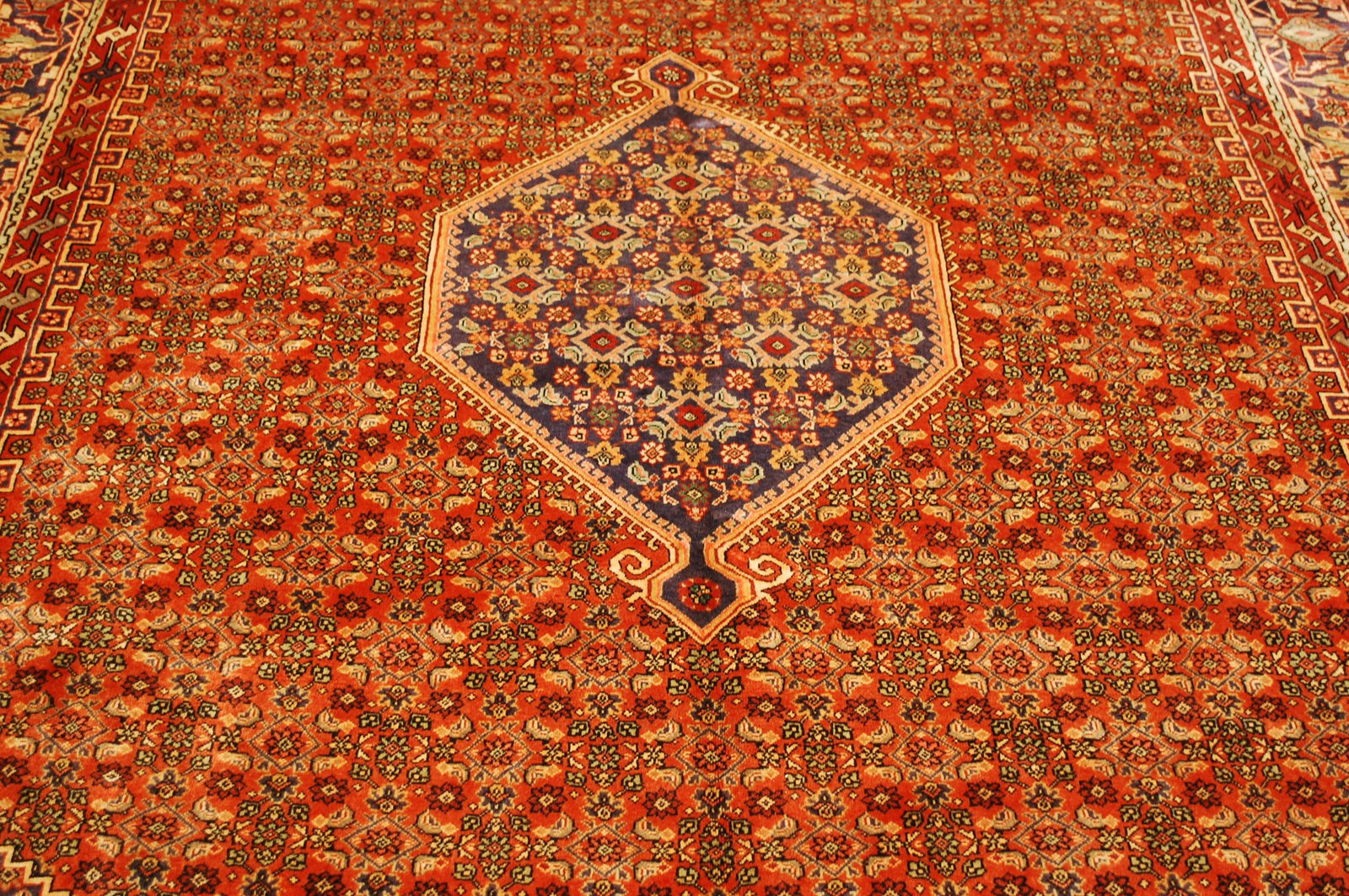 PERSIAN BIJAR RUG 6.9x10.5 - 12