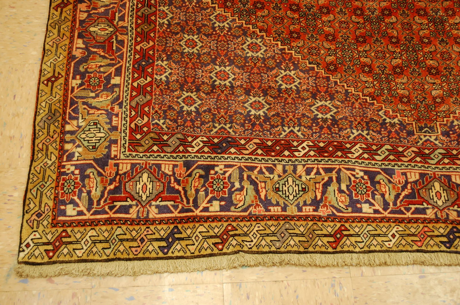 PERSIAN BIJAR RUG 6.9x10.5 - 3