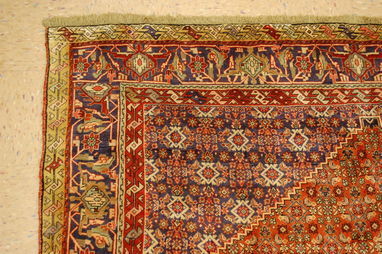 PERSIAN BIJAR RUG 6.9x10.5 - 4