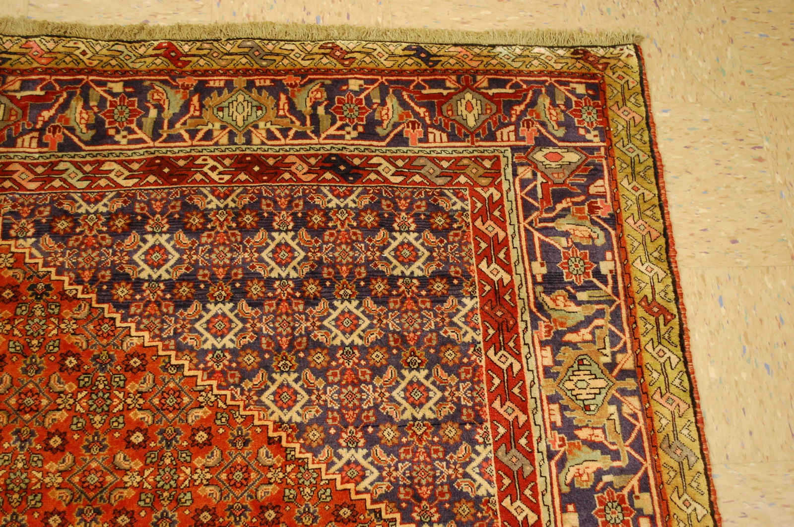 PERSIAN BIJAR RUG 6.9x10.5 - 5