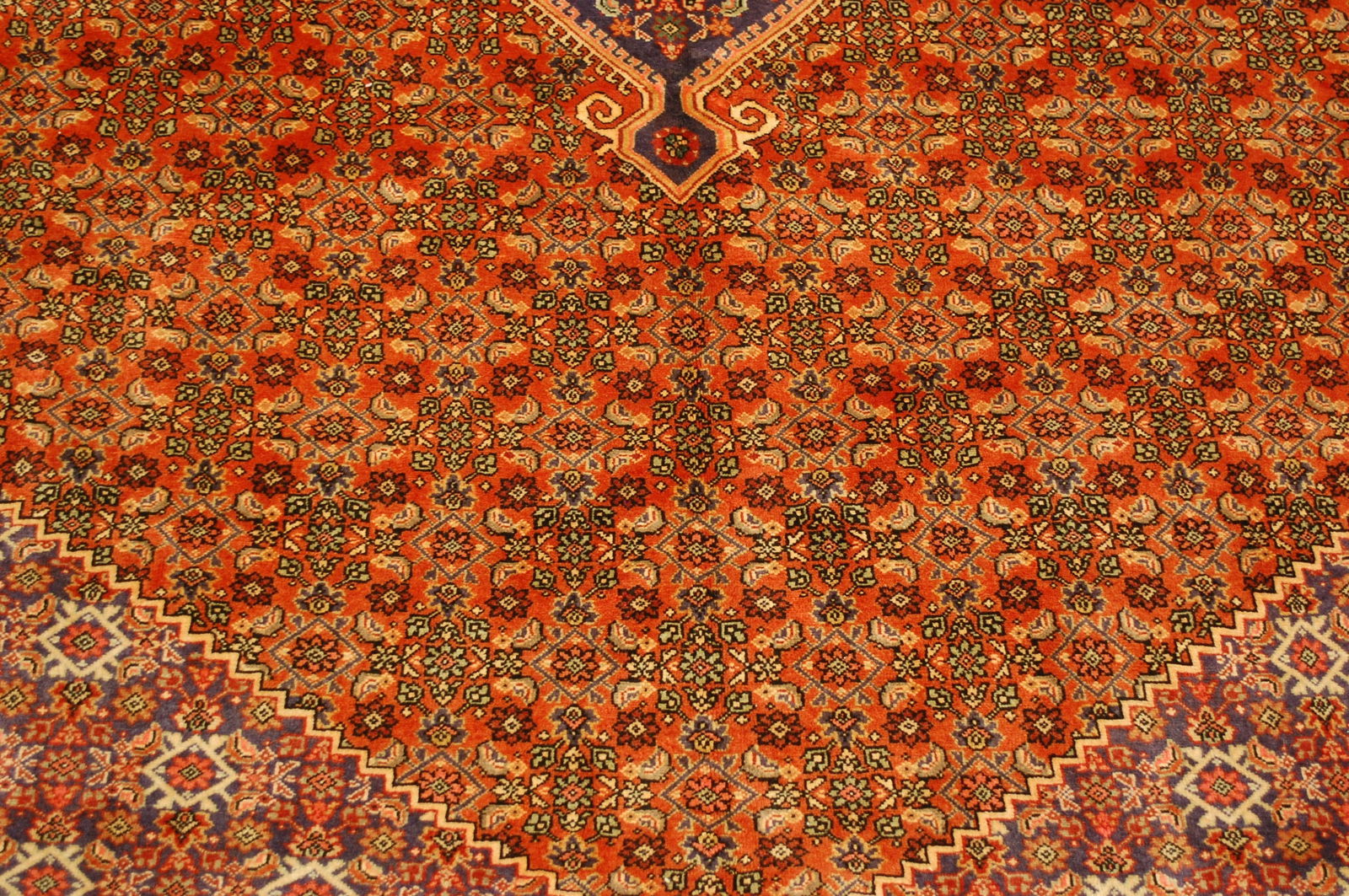 PERSIAN BIJAR RUG 6.9x10.5 - 7