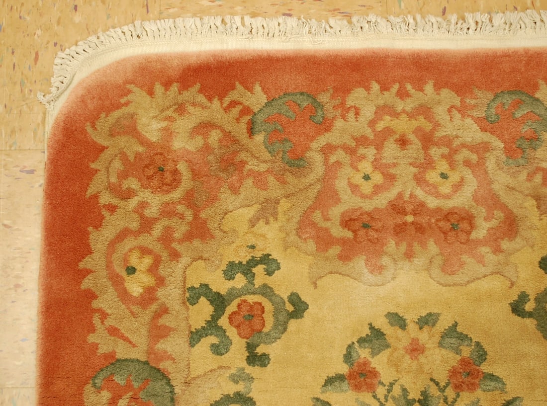 CHINESE NICHOLSRUG 3' x 4'10" - 4