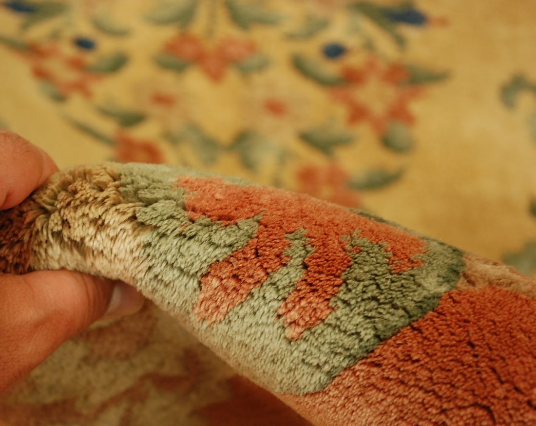 CHINESE NICHOLSRUG 3' x 4'10" - 8