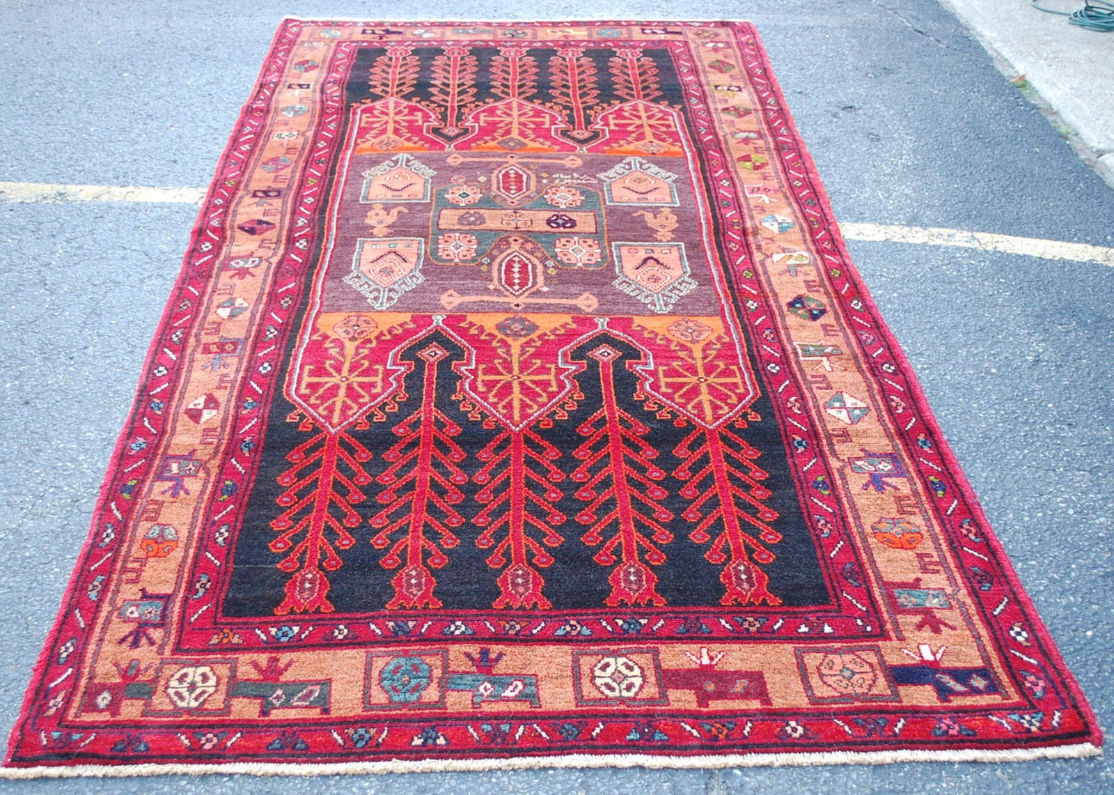 PRSIAN MALAYEER RUG 5' x 10'8": Title:PRSIAN MALAYEER RUG 5' x 10'8" Description: Antique ,MALAYEER RUG wool woven on Cotton foundation with a size of,,,,, 5' x 10'8"......This is a rug sought after by anyone who knows super antique