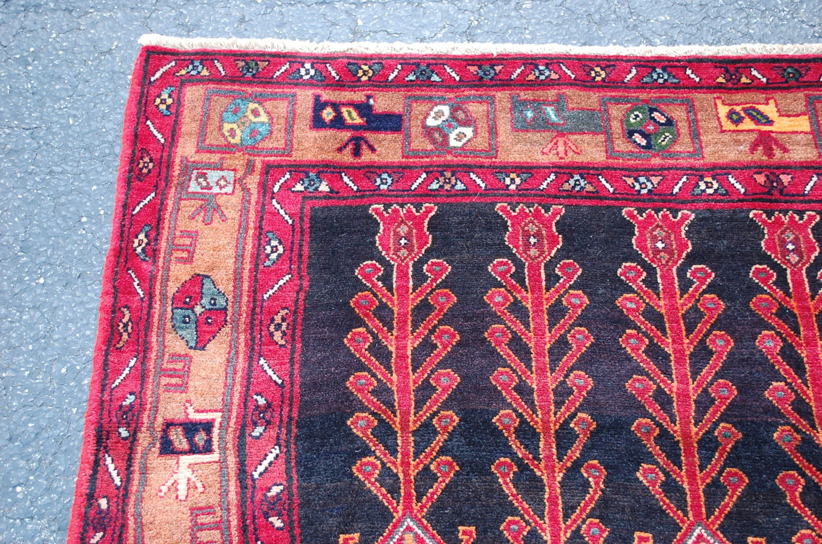 PRSIAN MALAYEER RUG 5' x 10'8" - 4
