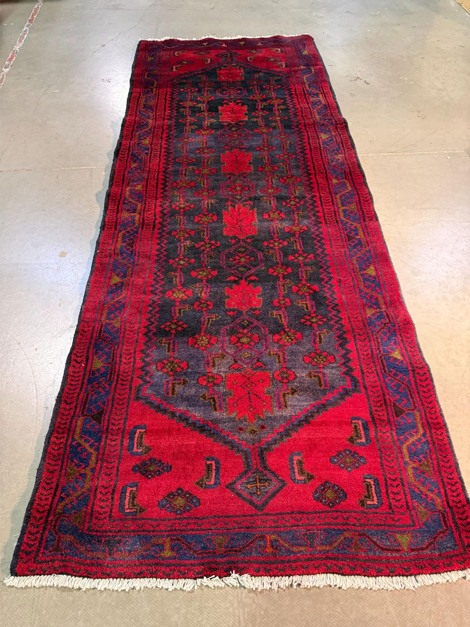 Magnificent Persian Runner 3.9x9.8 (1 of 9)