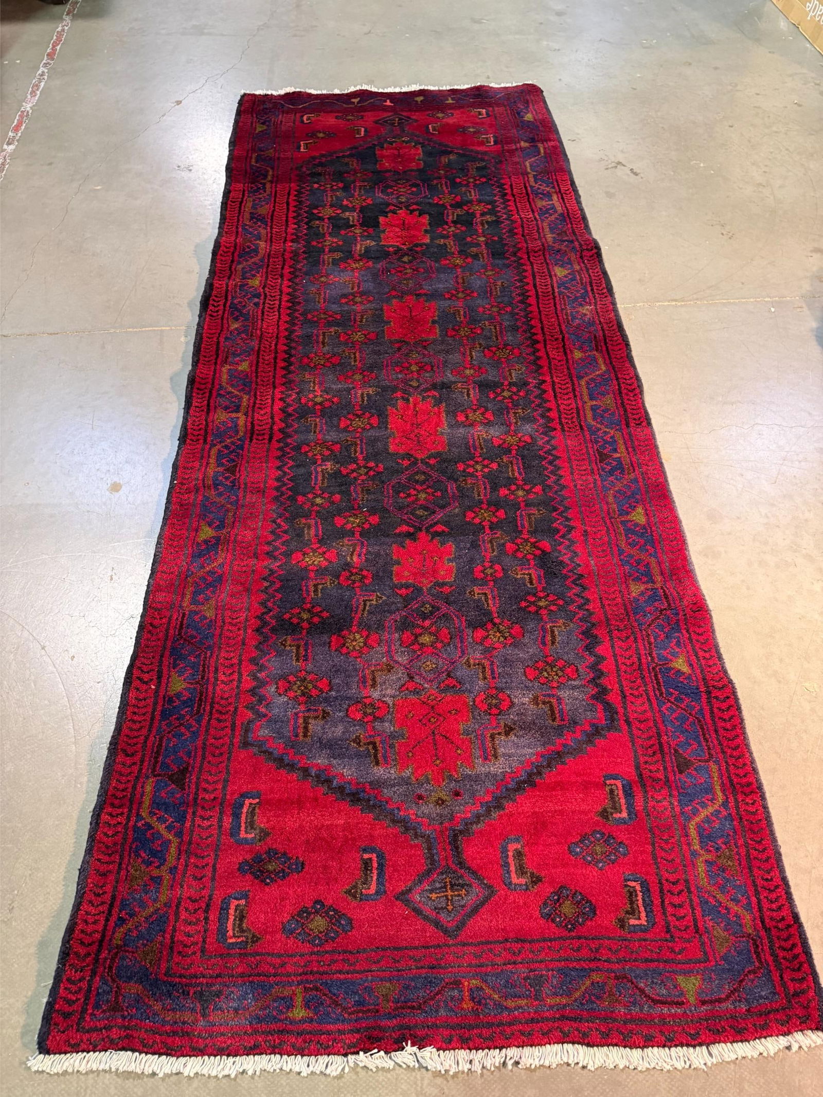 Magnificent Persian Runner 3.9x9.8 - 2