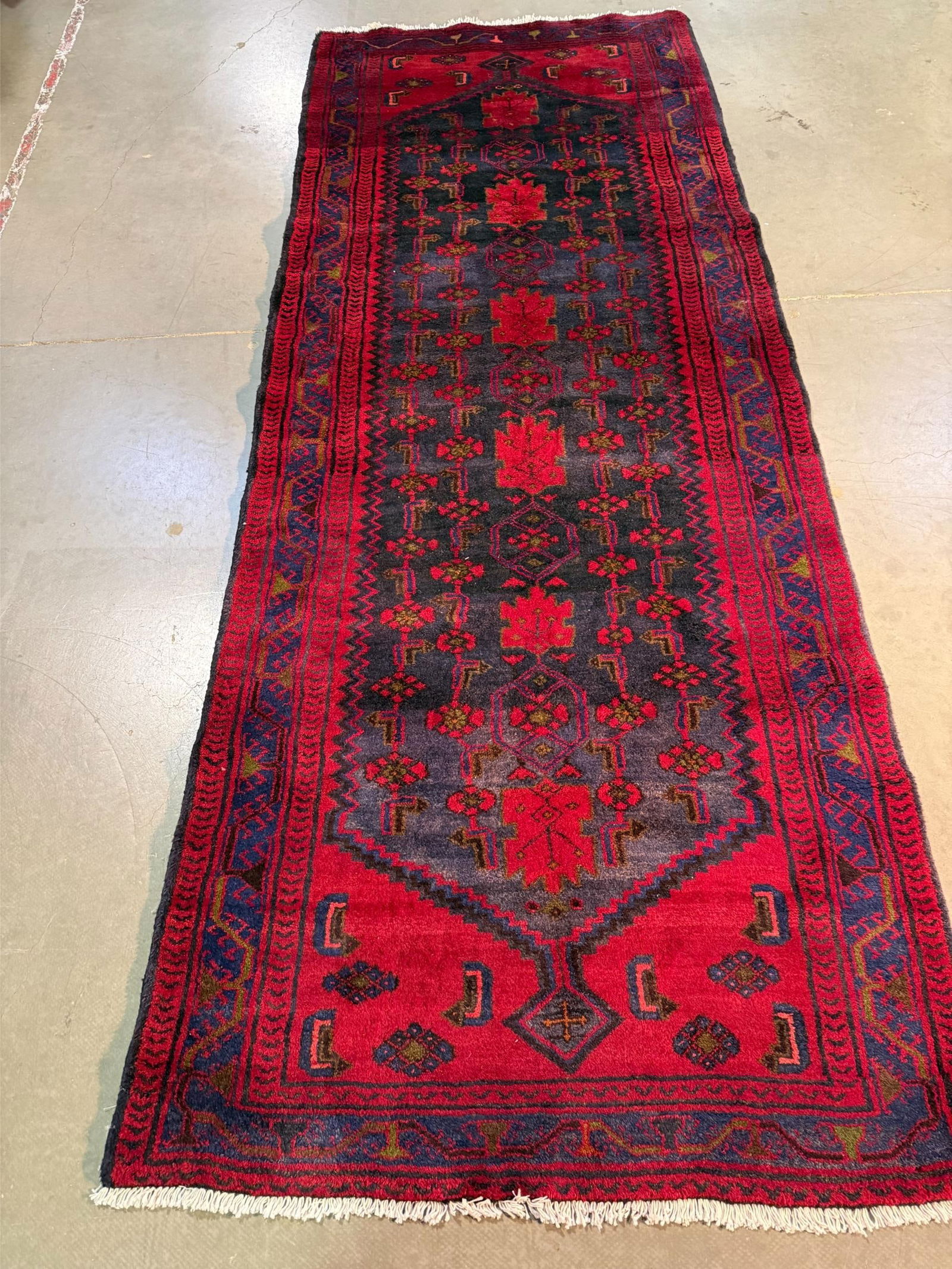Magnificent Persian Runner 3.9x9.8 - 6