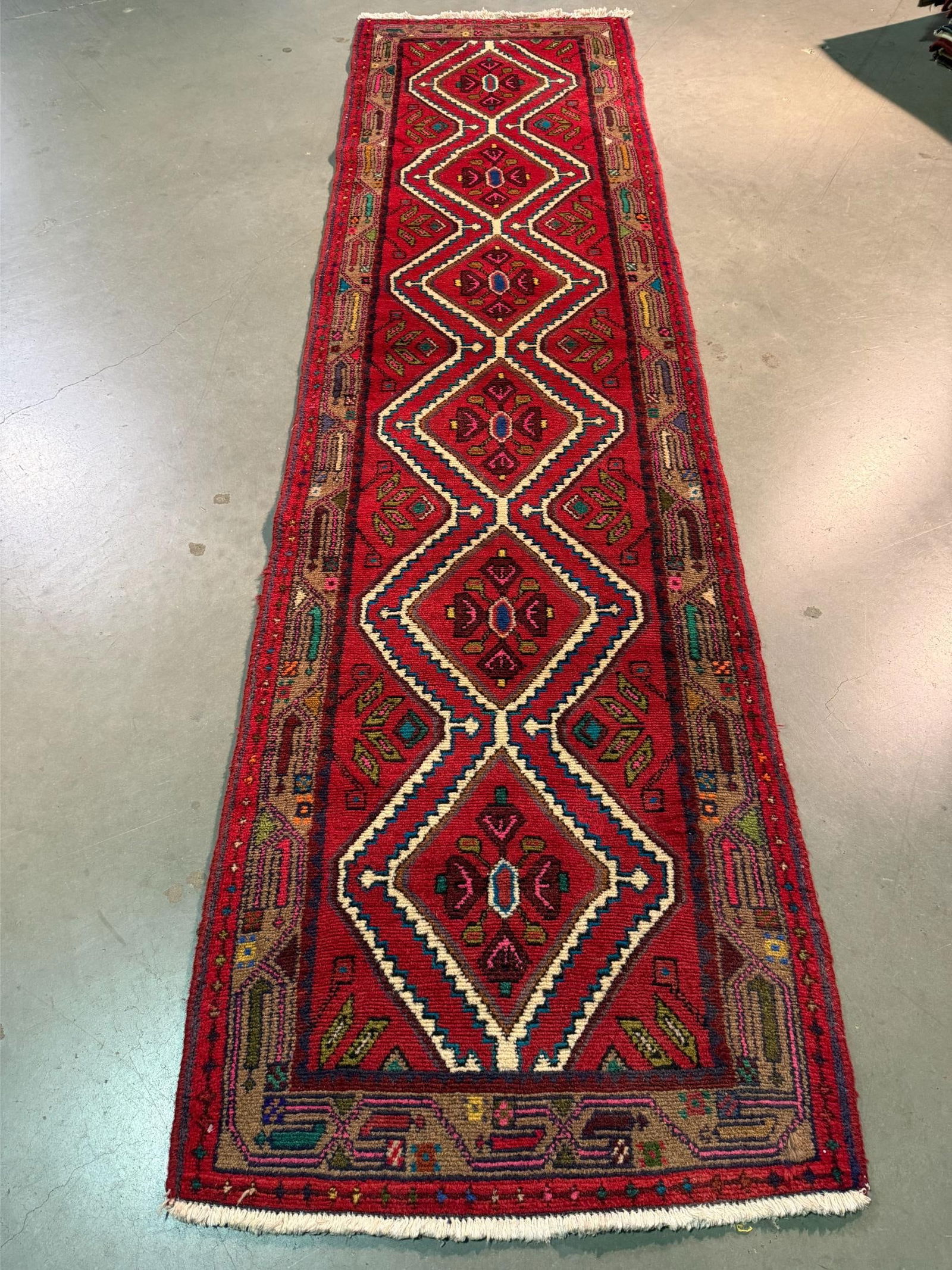 Magnificent Persian Runner 2.8x10 (1 of 7)