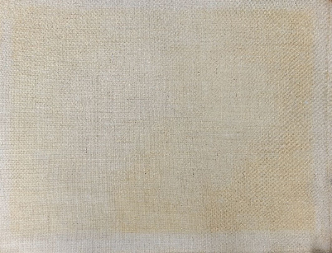 Oil painting Daisies Alex Ditriev - 9