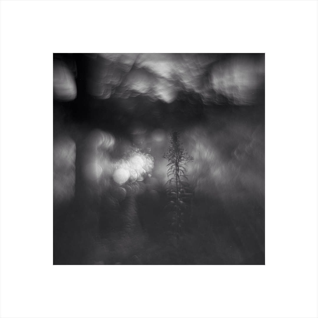 Dialogue 1 - photopainting (1 of 1)