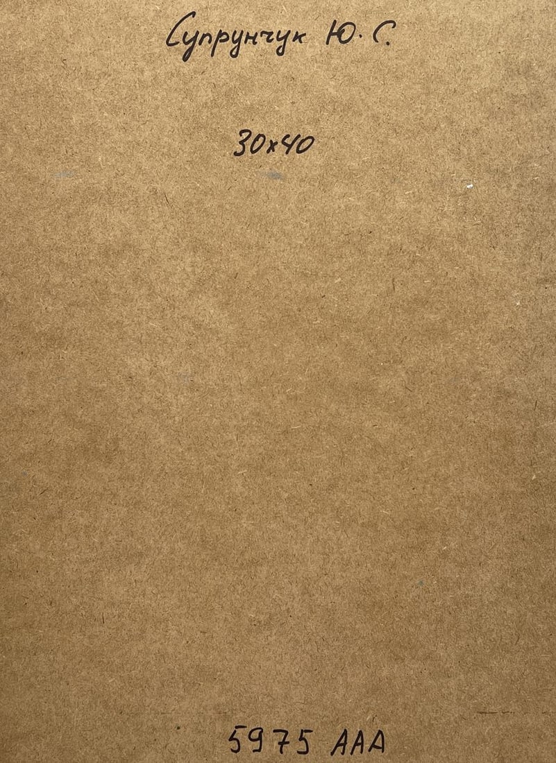 Oil painting City with a river Yuriy Suprunchuk - 11