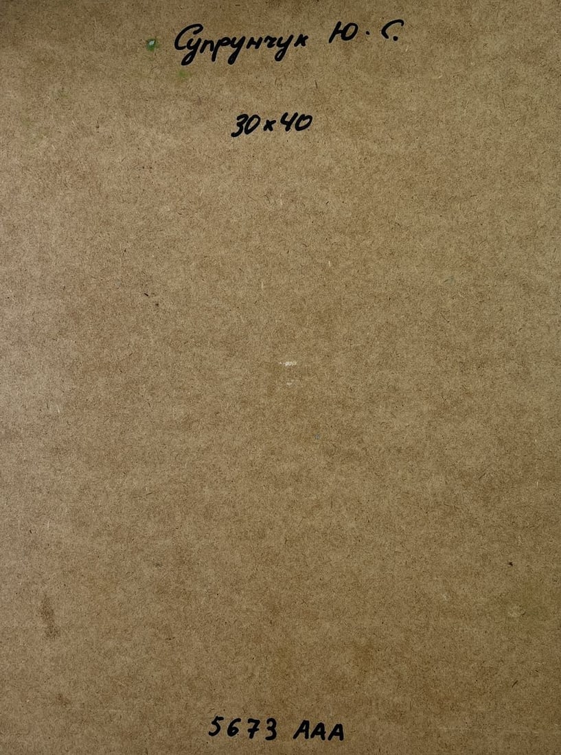 Oil painting House on the mountains Yuriy Suprunchuk - 9