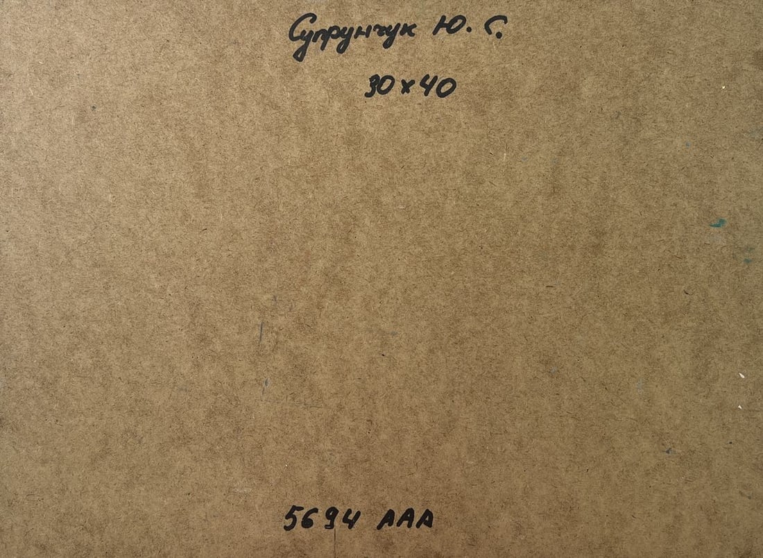 Oil painting Village in the mountains Yuriy Suprunchuk - 10