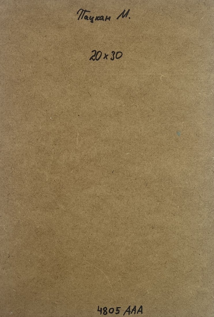 Acrylic painting Snowy village and mountain Mykhailo Patskan - 10