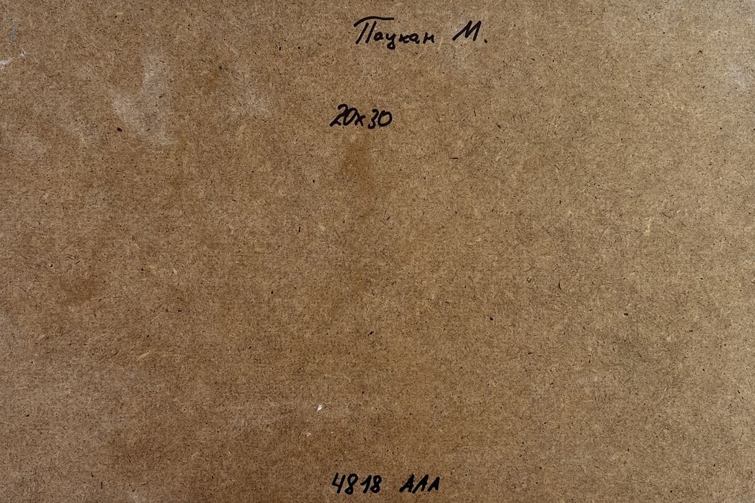 Acrylic painting After the winter snowstorm Mykhailo Patskan - 10