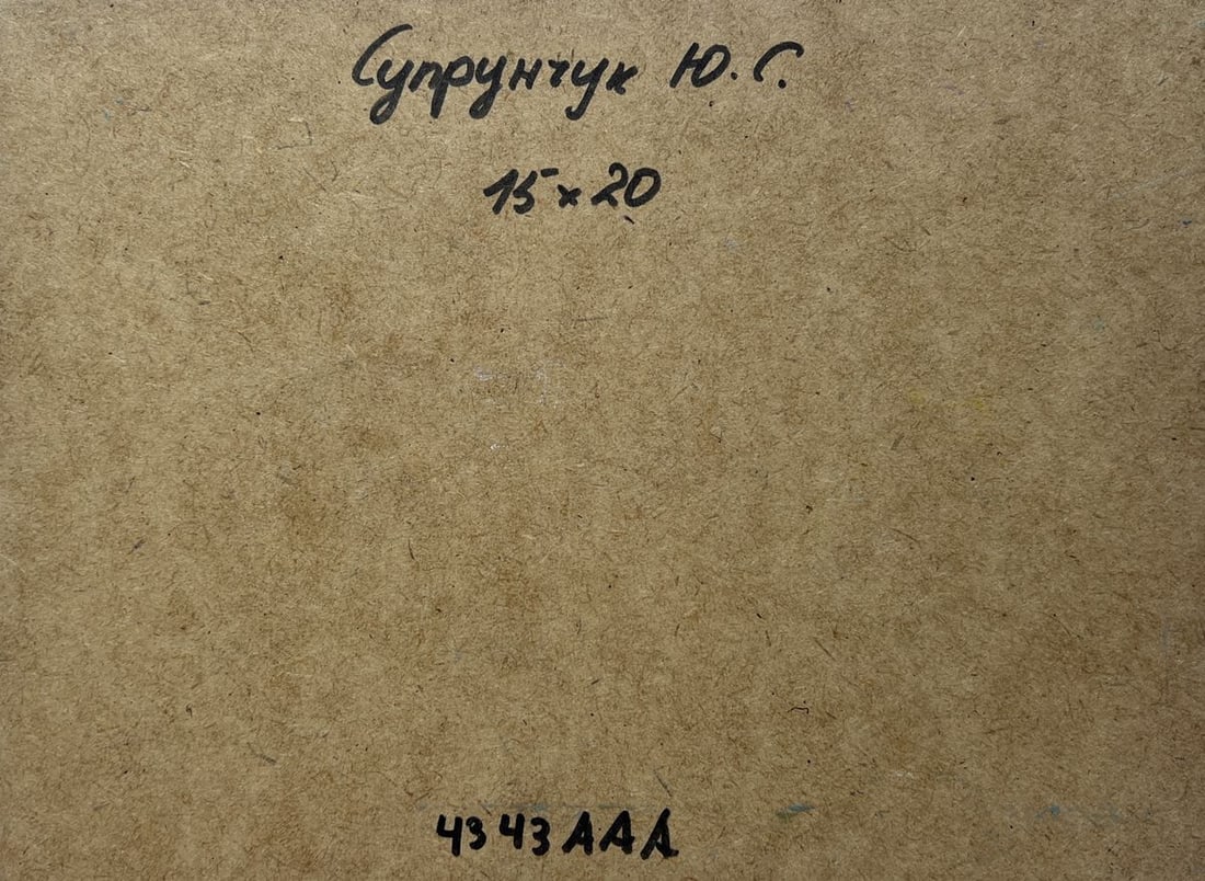 Oil painting I'm sailing home on a boat Yuriy Suprunchuk - 8