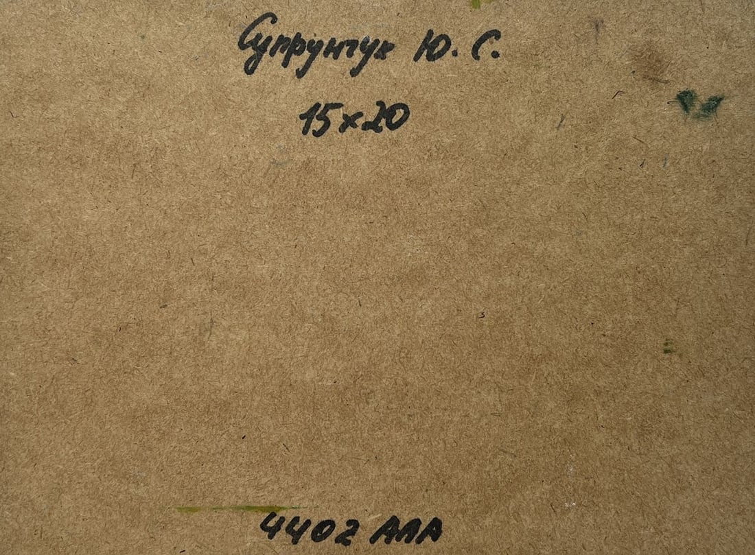 Oil painting Two people are sailing on a boat Yuriy Suprunchuk - 8