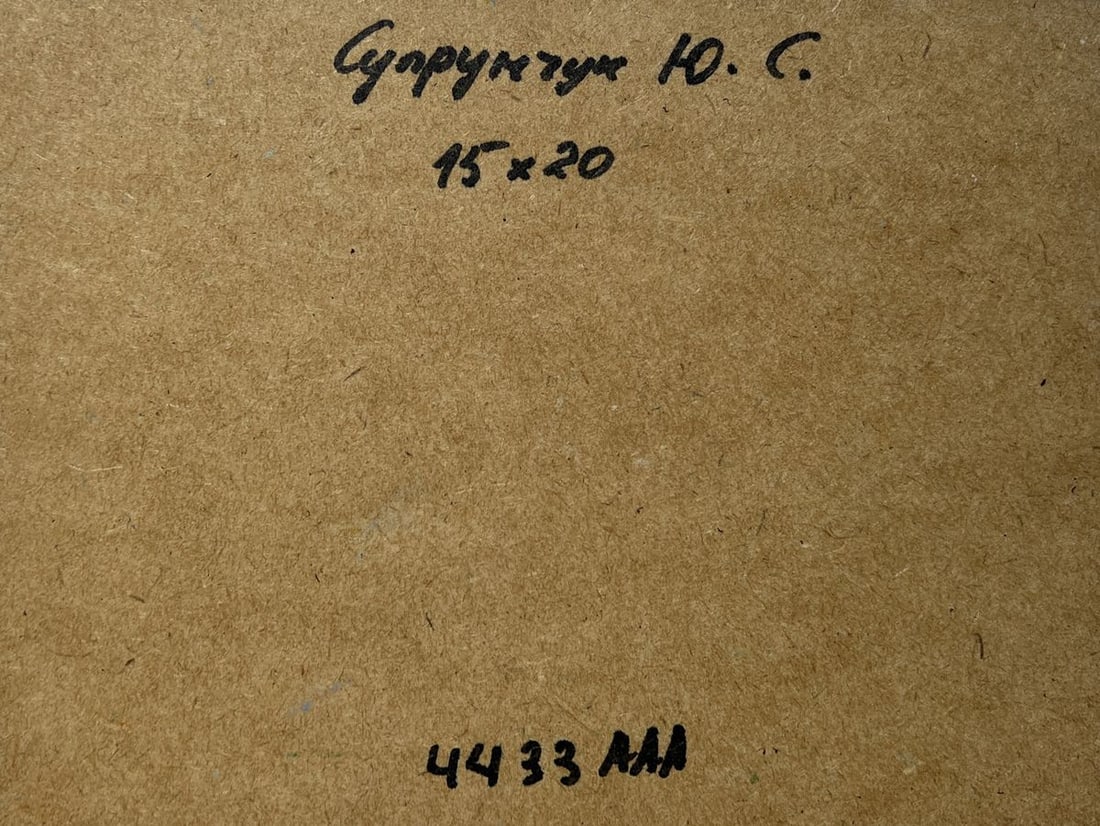 Oil painting A boat among the reeds Yuriy Suprunchuk - 8