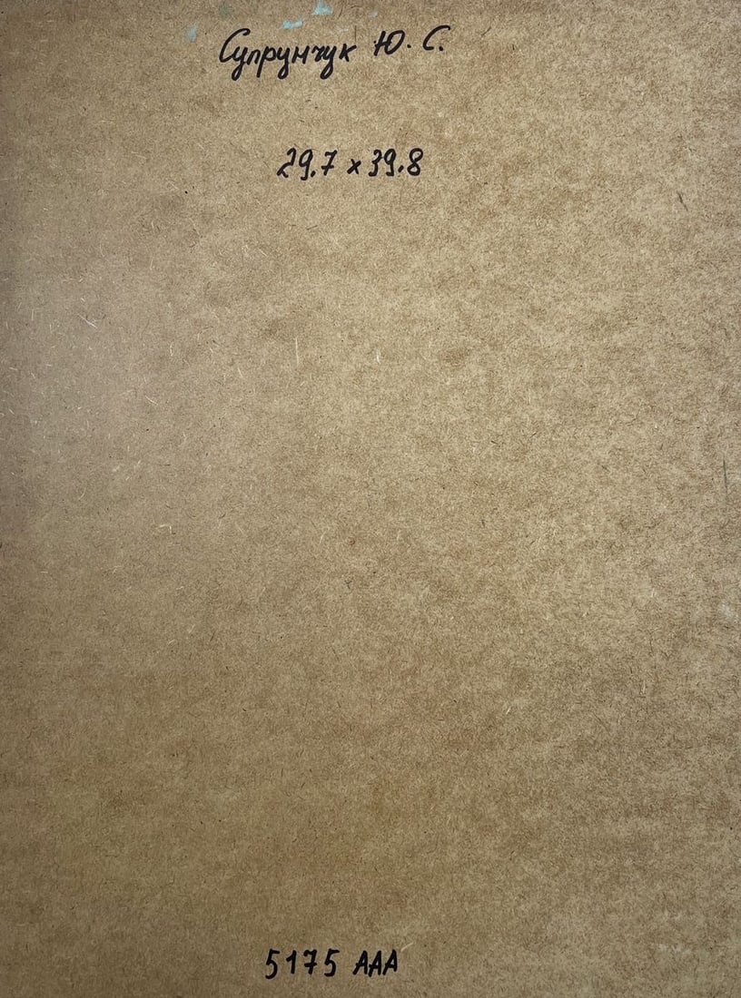 Oil painting Boat in the middle of city streets Yuriy Suprunchuk - 9