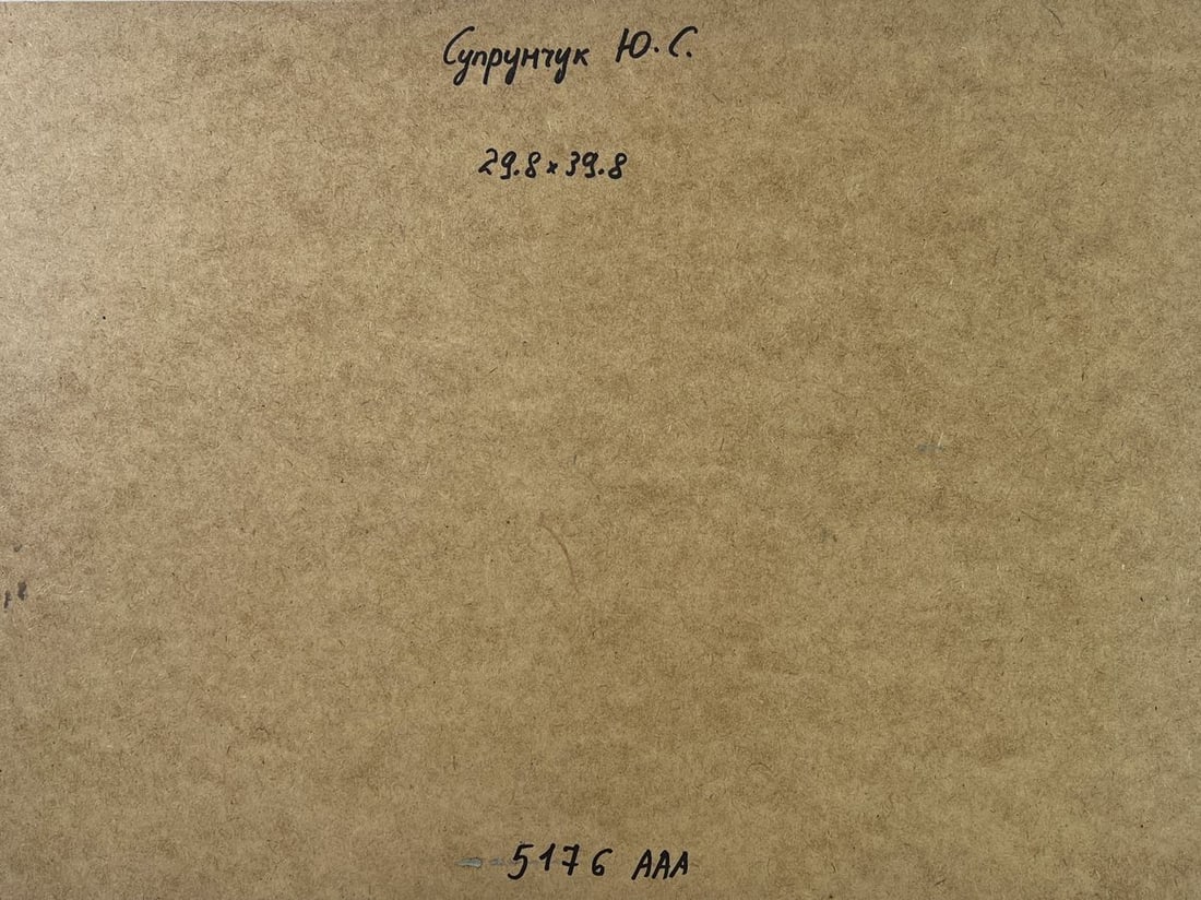 Oil painting Village boat ferry Yuriy Suprunchuk - 10