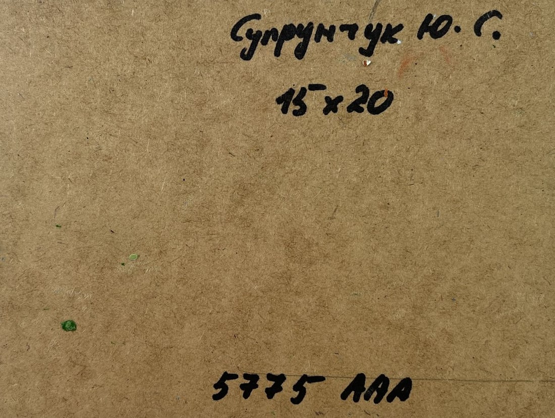 Oil painting House on the seashore Yuriy Suprunchuk - 7