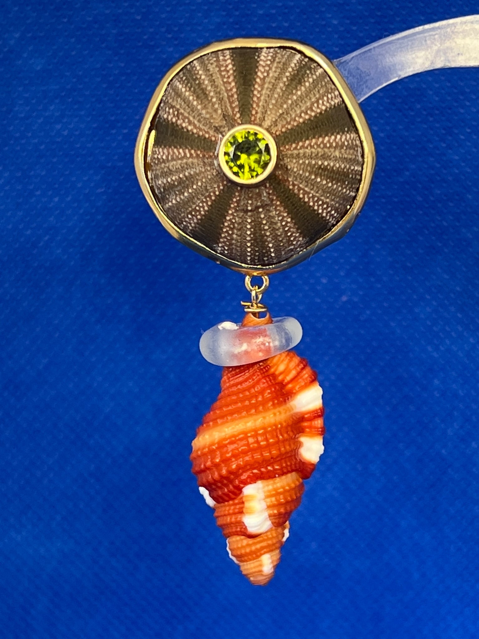 Tuexdo Urchin and Cymatium Shell Earrings - 2