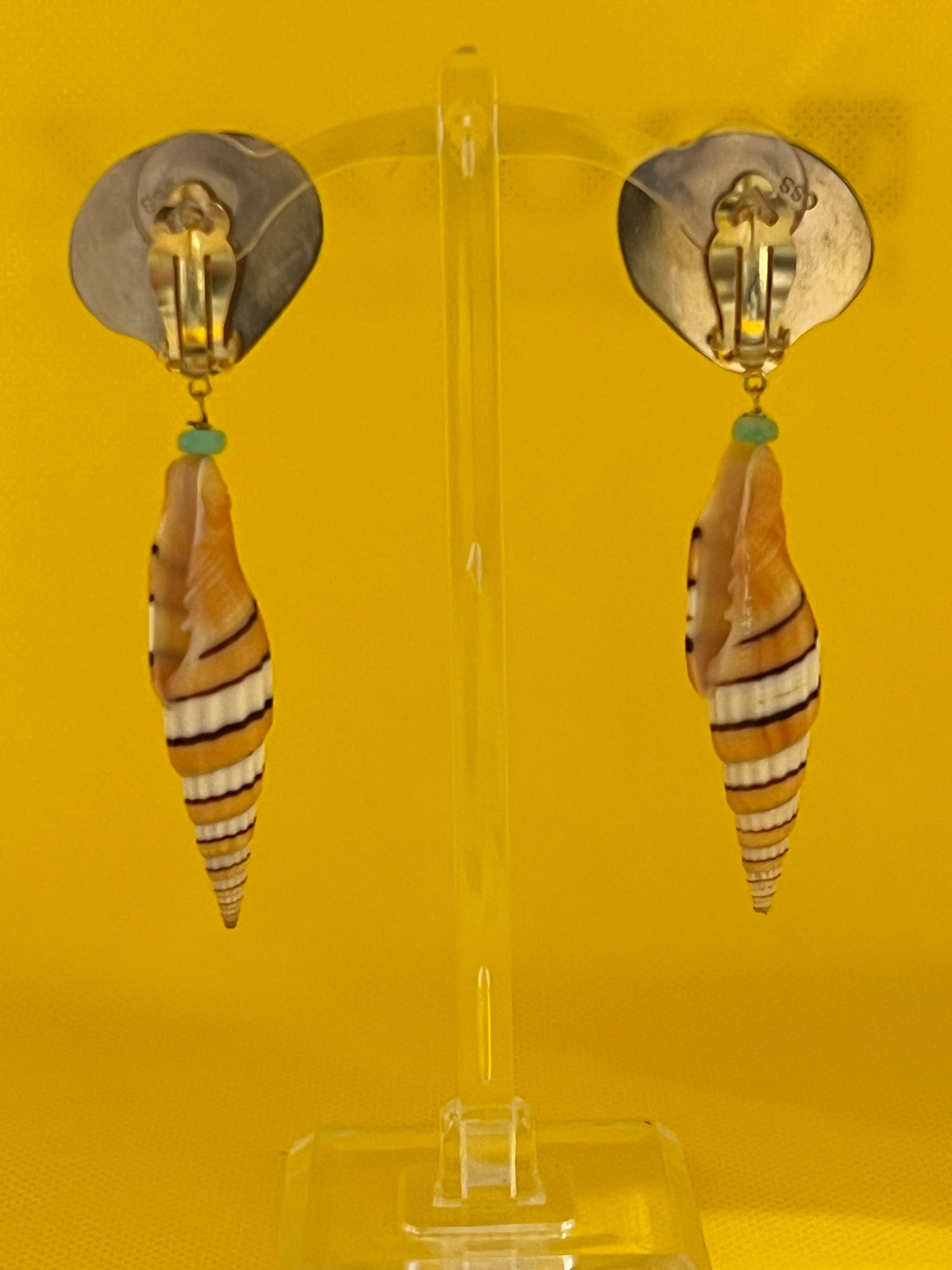 Rare Clam and Terebra Shell Drop Earrings - 3