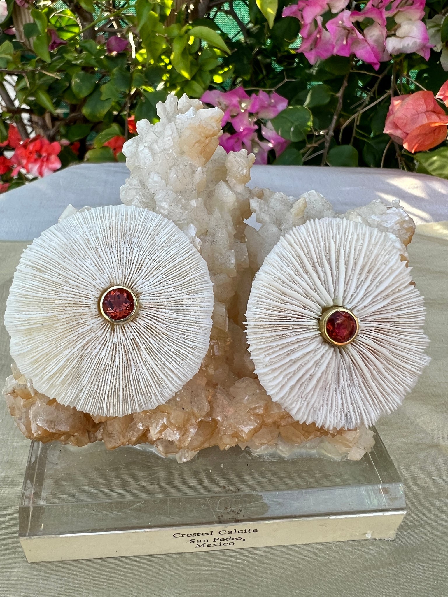 Pair of Sea Mushroom Earrings with Spessartine Garnets: Title:Pair of Sea Mushroom Earrings with Spessartine GarnetsDescription:Pair of Sea Mushroom Earrings with Exquisite Round Spessartine Garnets - Post/clip Back set in Vermeil- 1.5" Across - Signed