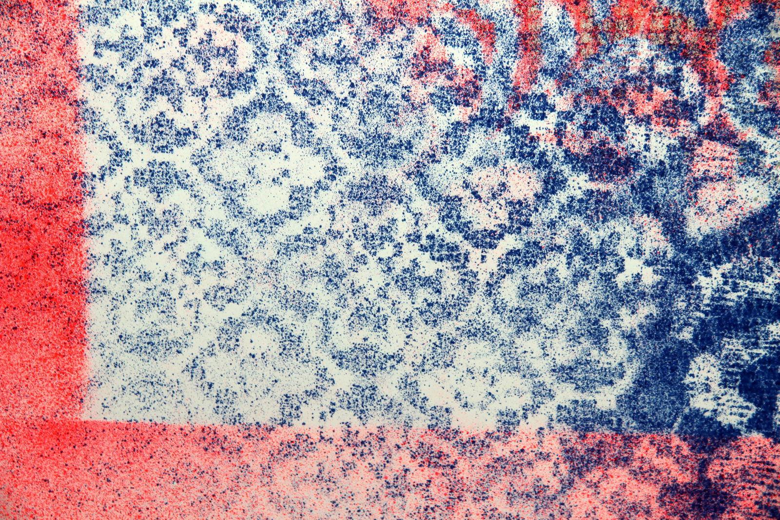 Acrylic painting Passion ornament Anatoliy Menkiv - 4