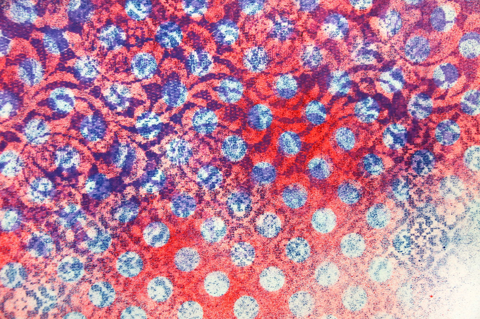 Acrylic painting A moment of life Anatoliy Menkiv - 6