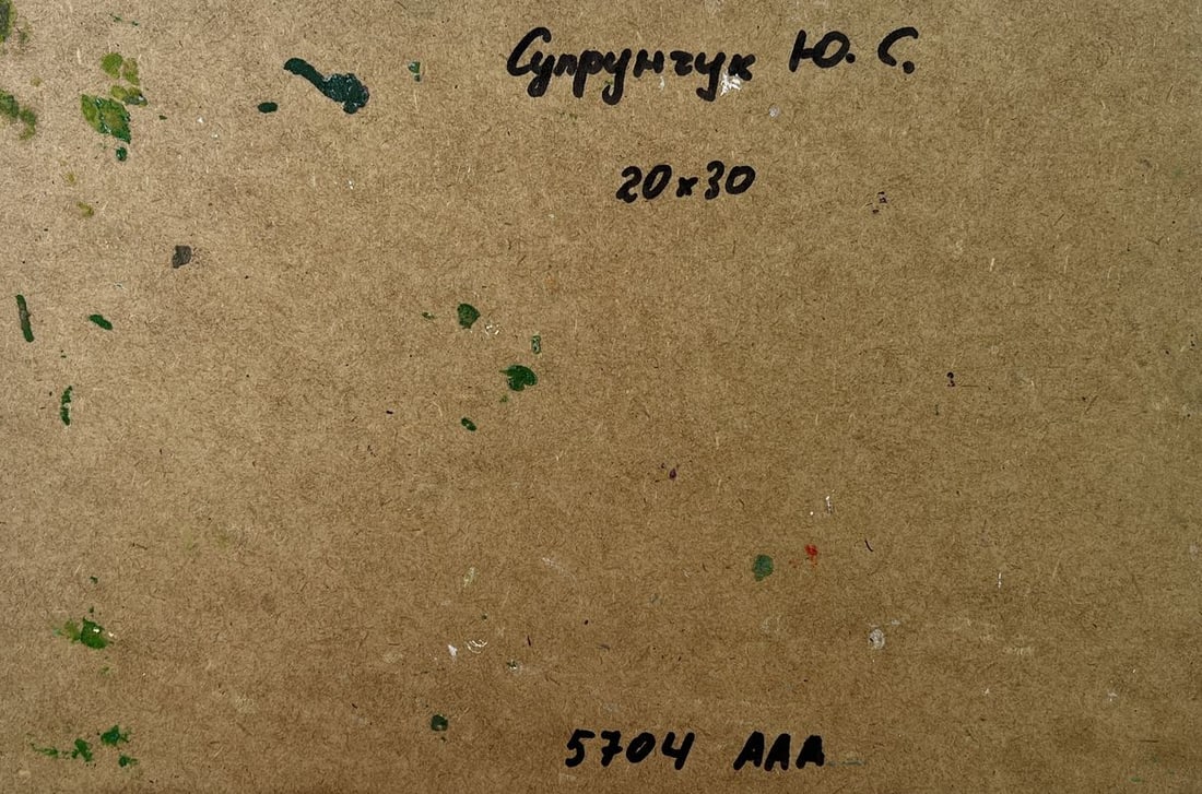 Oil painting Geese in the village Yuriy Suprunchuk - 10