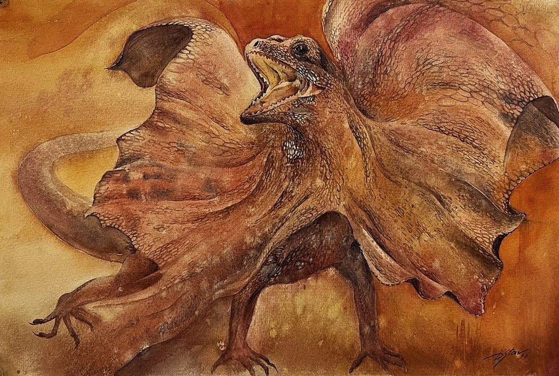 Watercolor painting Cloaked lizard Dmytro Startsev: Title: Watercolor painting Cloaked lizard Dmytro Startsev Description: №Galler 348*** ABOUT THIS PAINTING *** * TITLE: "Cloaked lizard" * ARTISTS: Dmytro Startsev * SIZE: 24x36 cm/'9.44x14.17