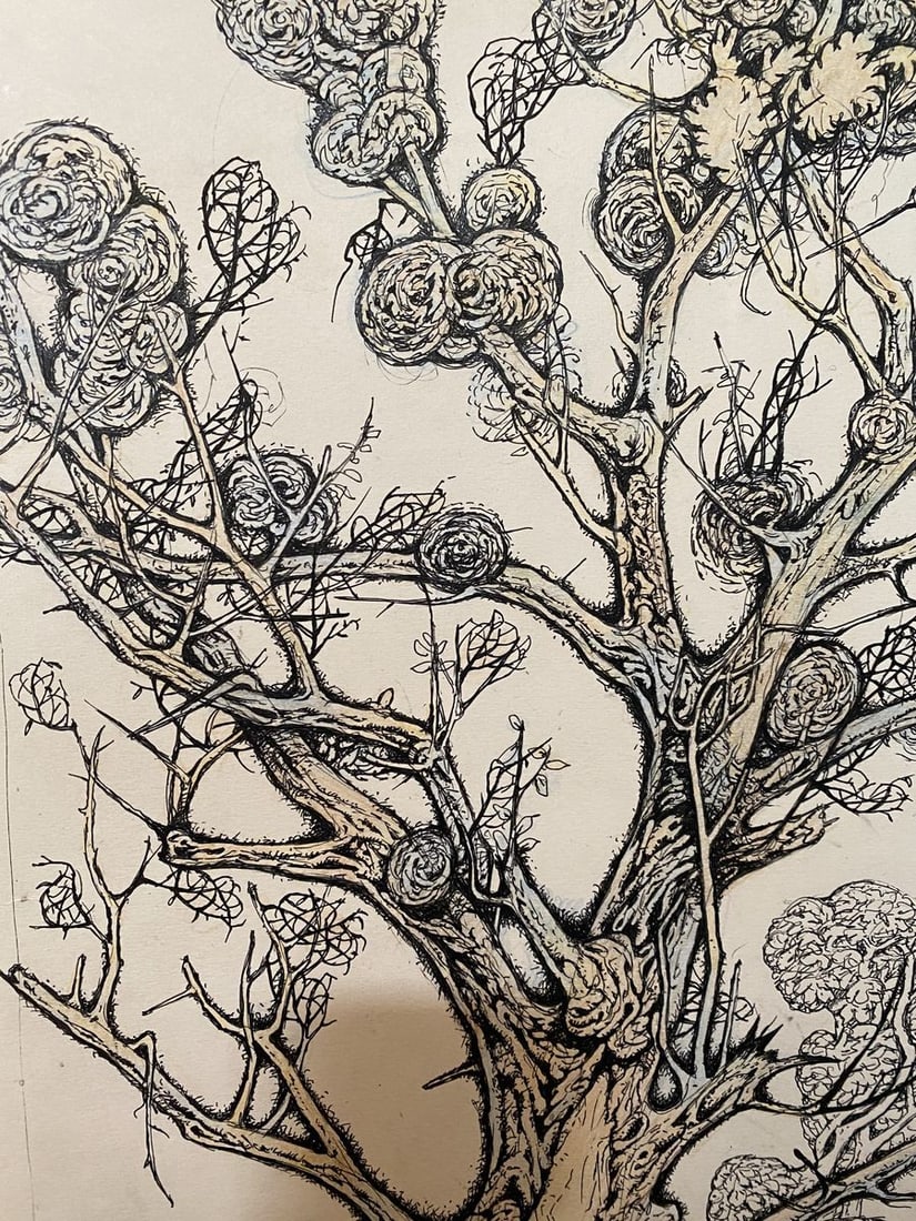 Pencil, mascara, painting White horse Litvinov Oleg Arkad'yevich - 7