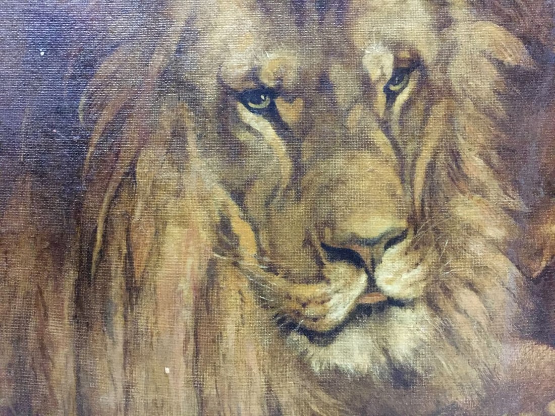 Oil painting Portrait of a lion - 3