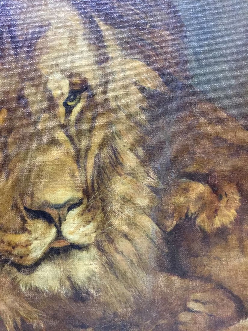 Oil painting Portrait of a lion - 6