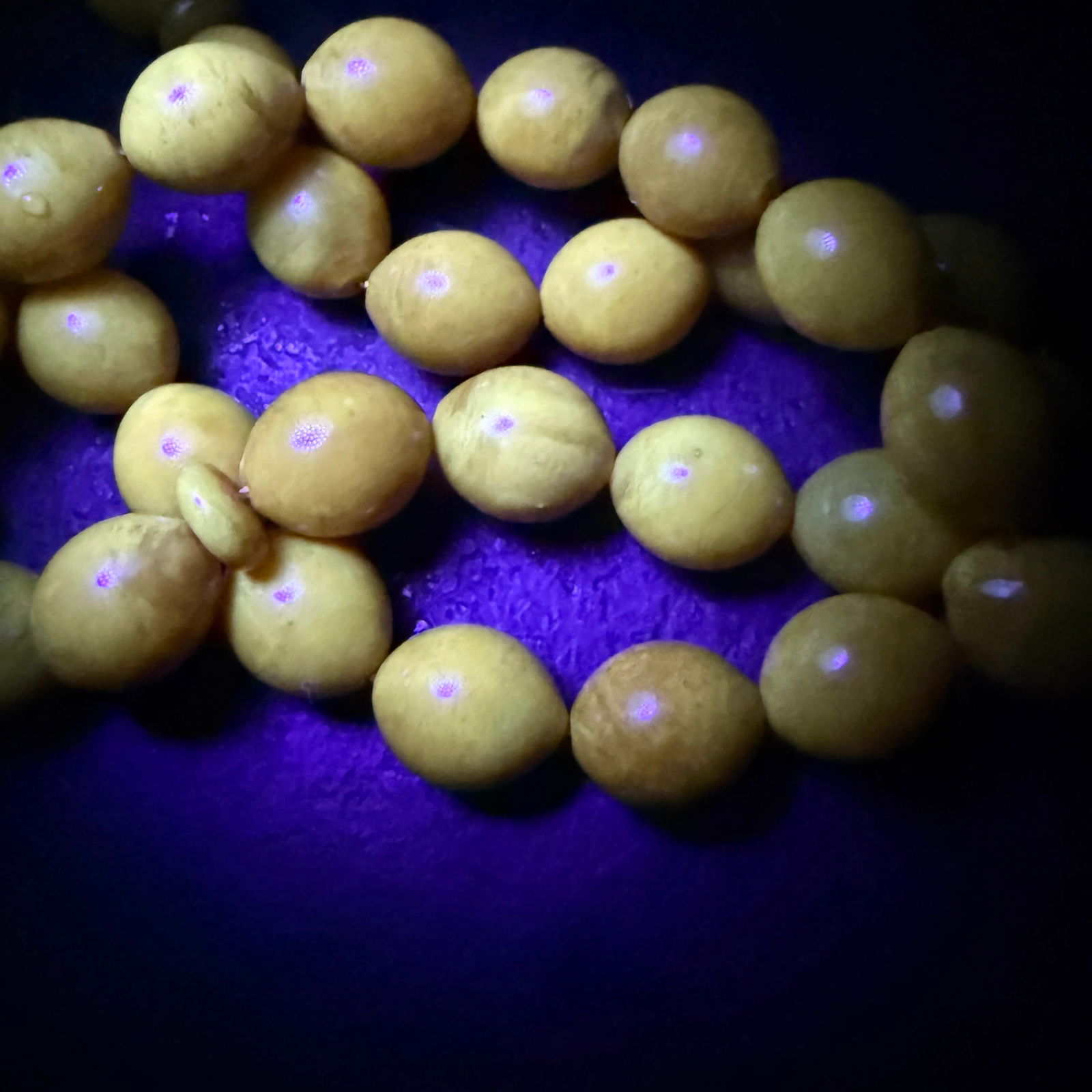 Splendid Amber Tesbih made from Olive shaped Amber beads - 6