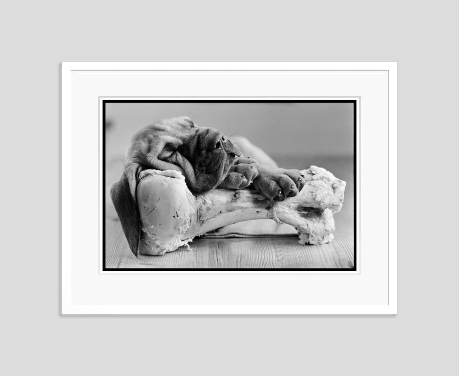 Bone Idle by Arthur Steel: 1986 (printed later) - 2