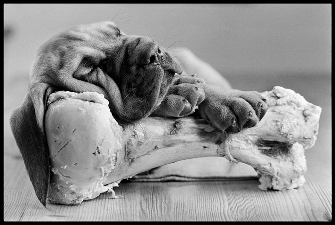 Bone Idle by Arthur Steel: 1986 (printed later) - 4