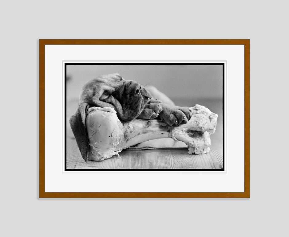 Bone Idle by Arthur Steel: 1986 (printed later) - 5