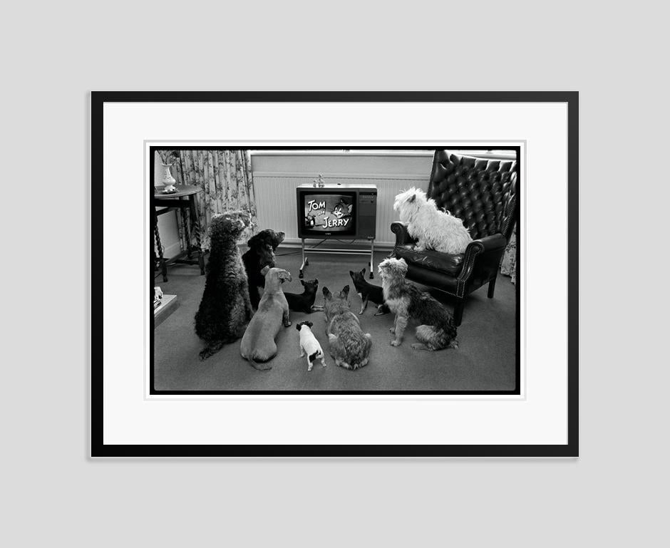 Captivated Audience by Arthur Steel: 1979 (printed later) - 3