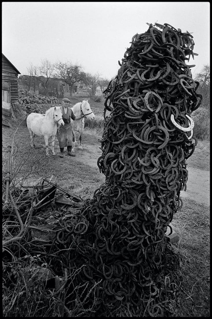 Horseshoes by Arthur Steel: 1981 (printed later) (1 of 12)