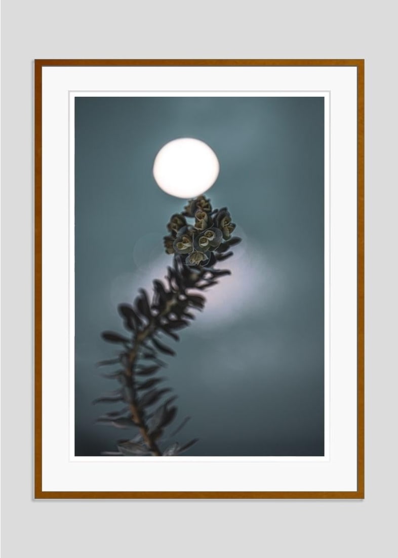 Honey Moon By Justin Pumfrey: 2023 - 10